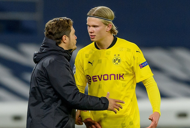 会举办国际 会举办国际